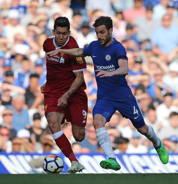 我不是為了 我不是為了