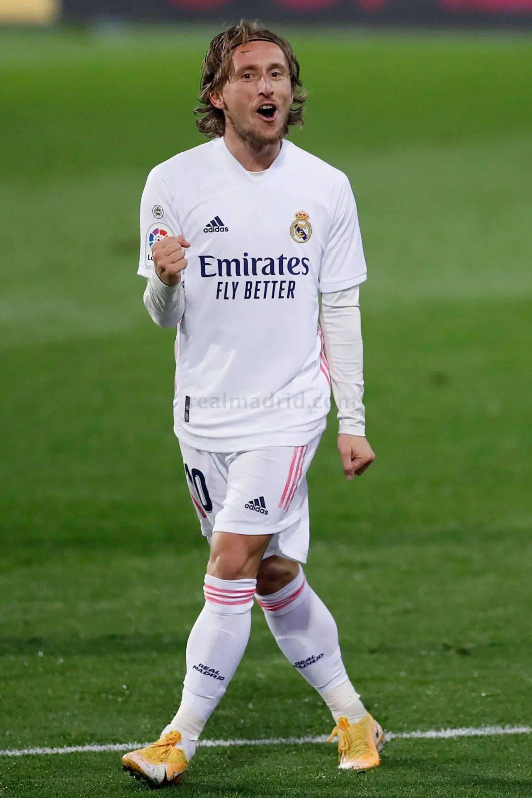 总的来说 总的来说